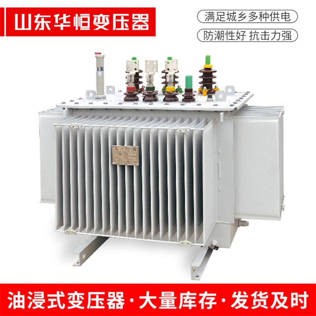 S13-10000/35泽普泽普泽普电力变压器
